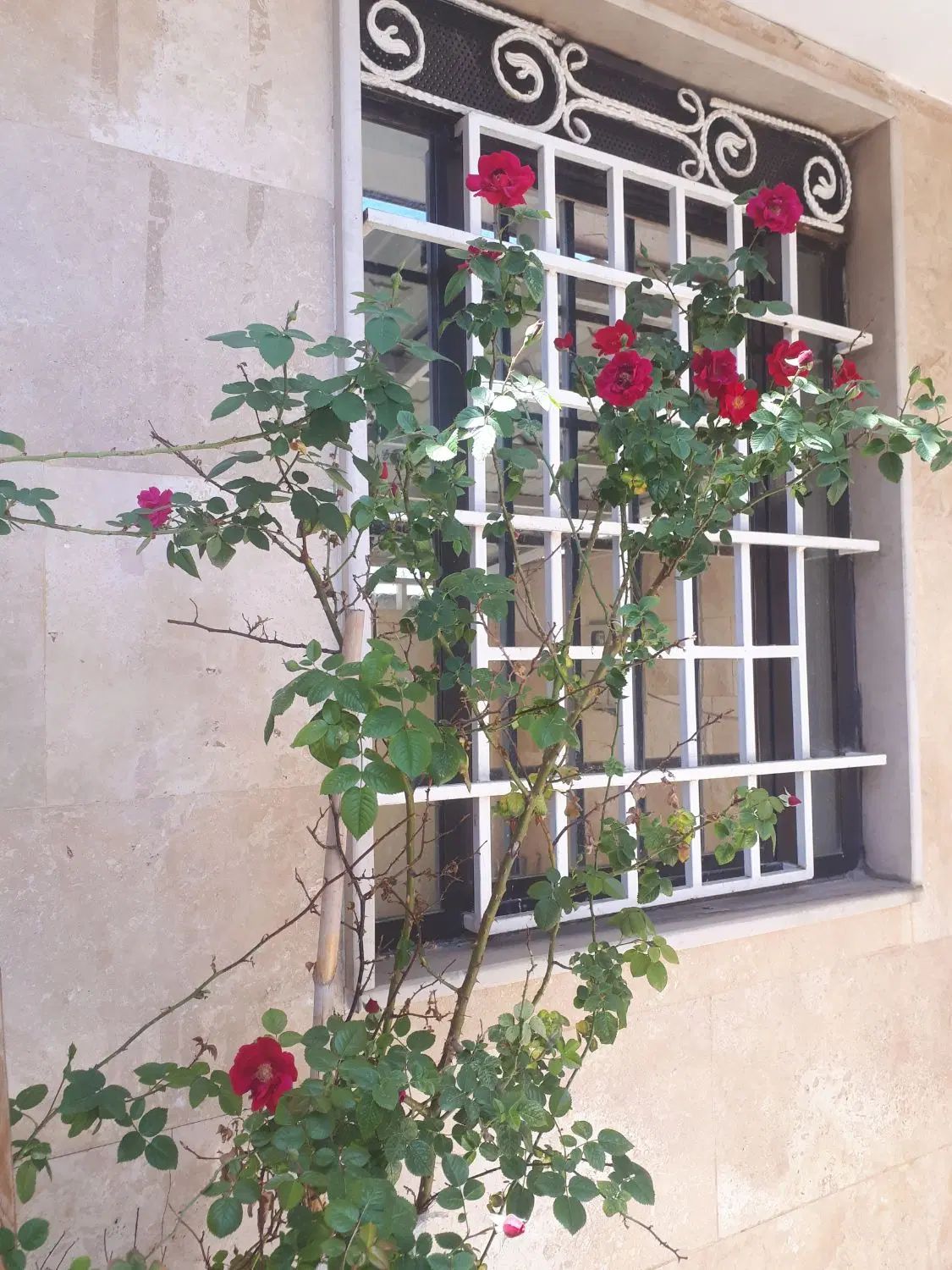 اجاره خانه ویلایی