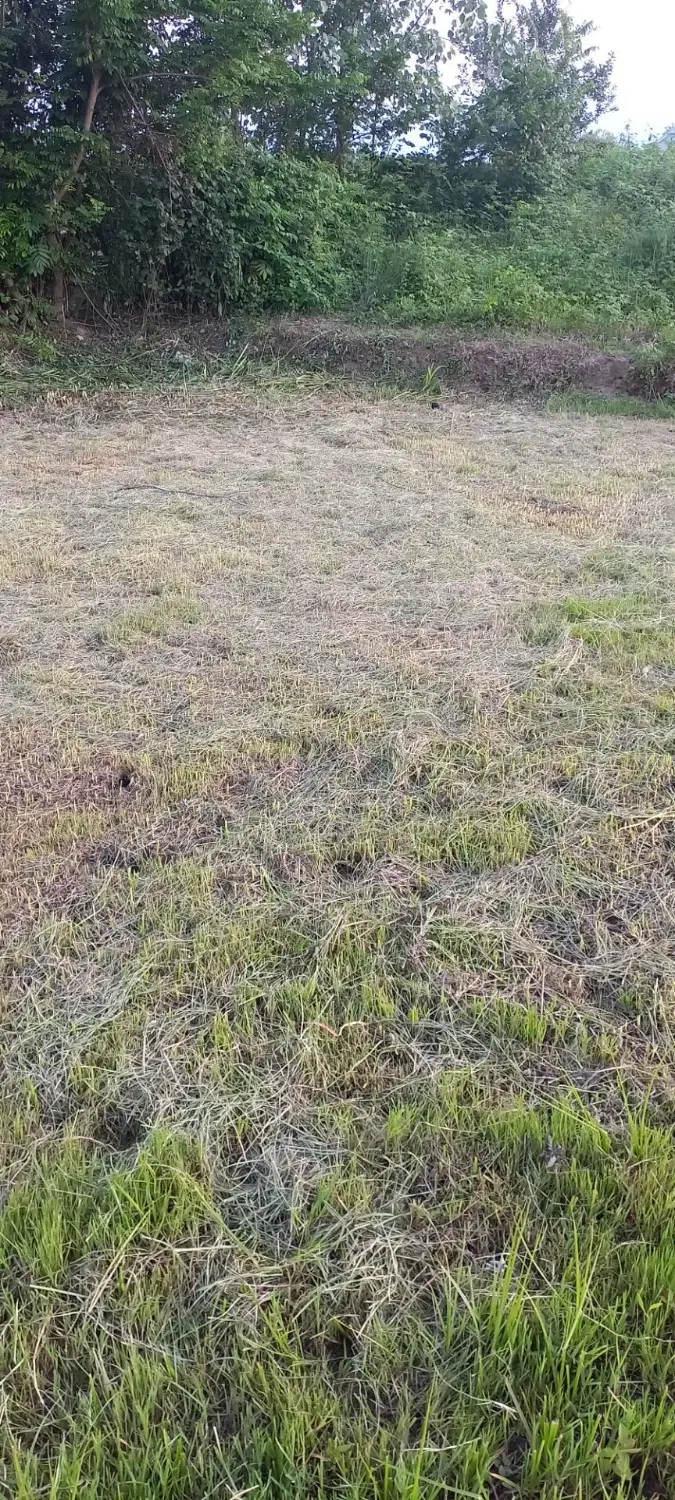 زمین در روستای ماوردیان فومن