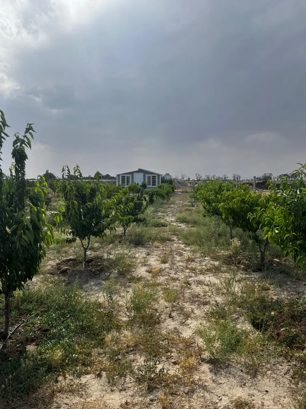 ۱۱۰۰ متر زمین روستای شیخ حسن‌نظرآباد