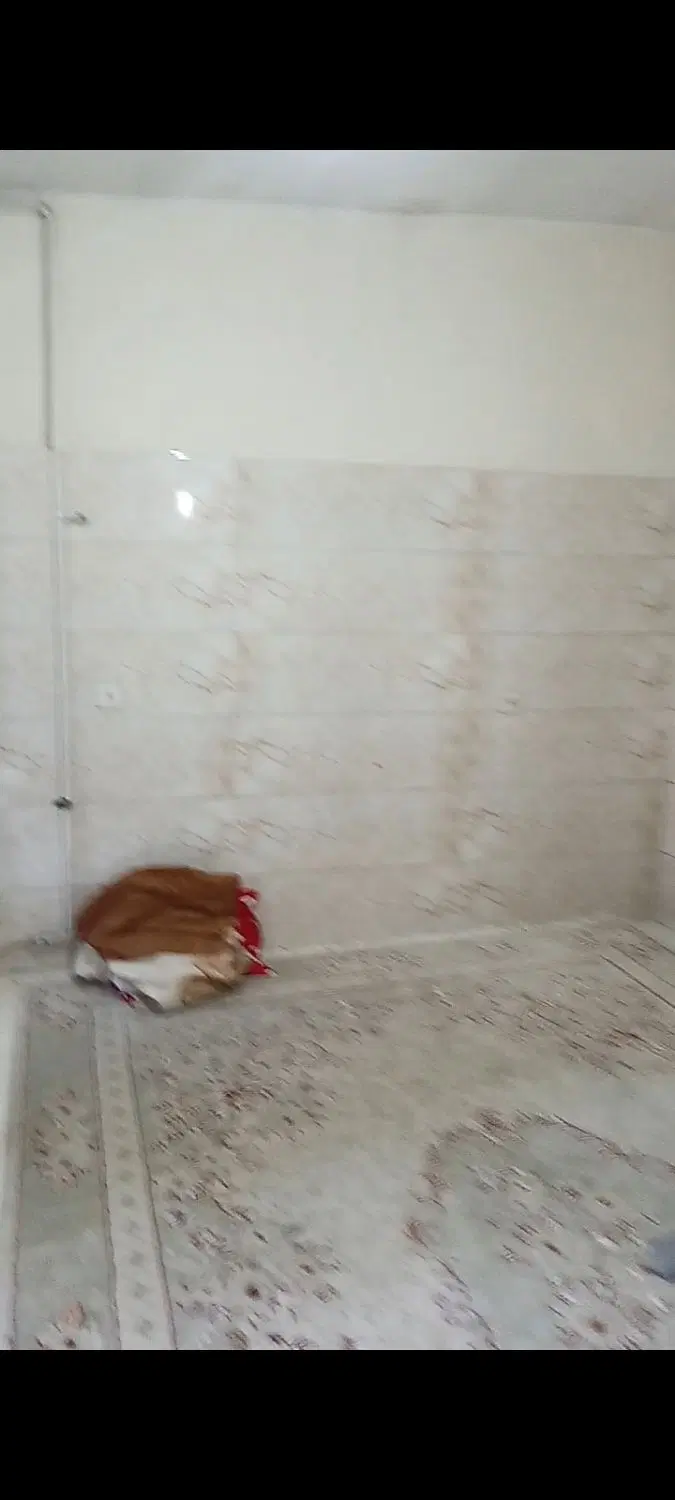 رهن کامل