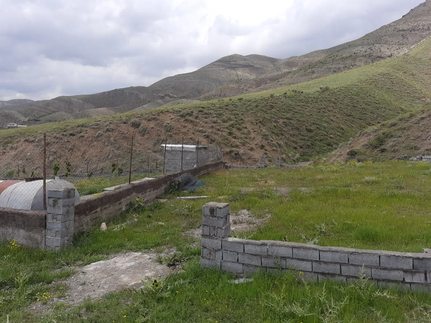 زمین