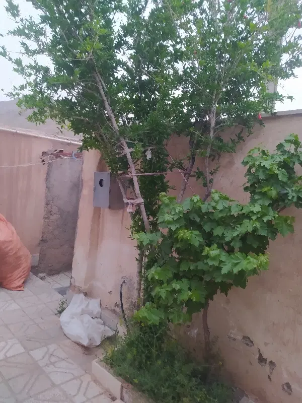خانه در روستای اندریک