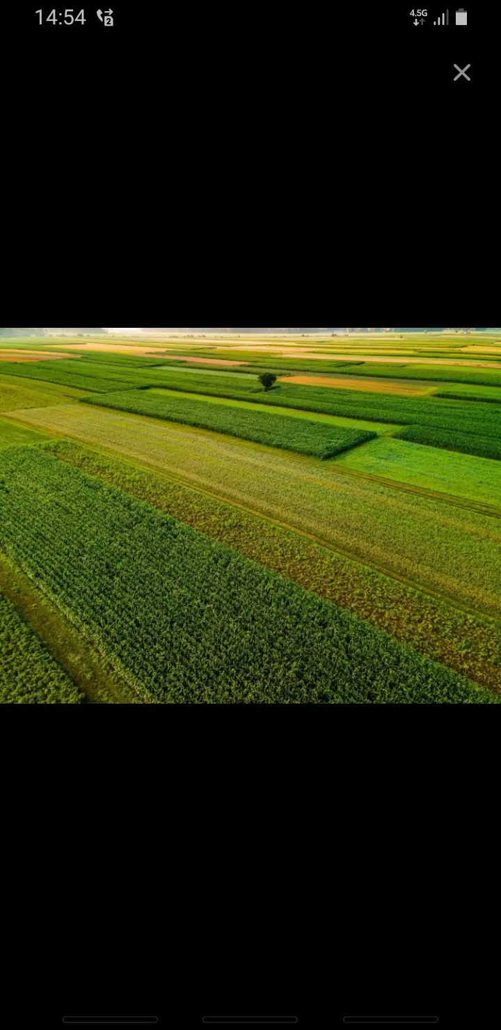۱۵۵۰مترزمین مناسب باغ