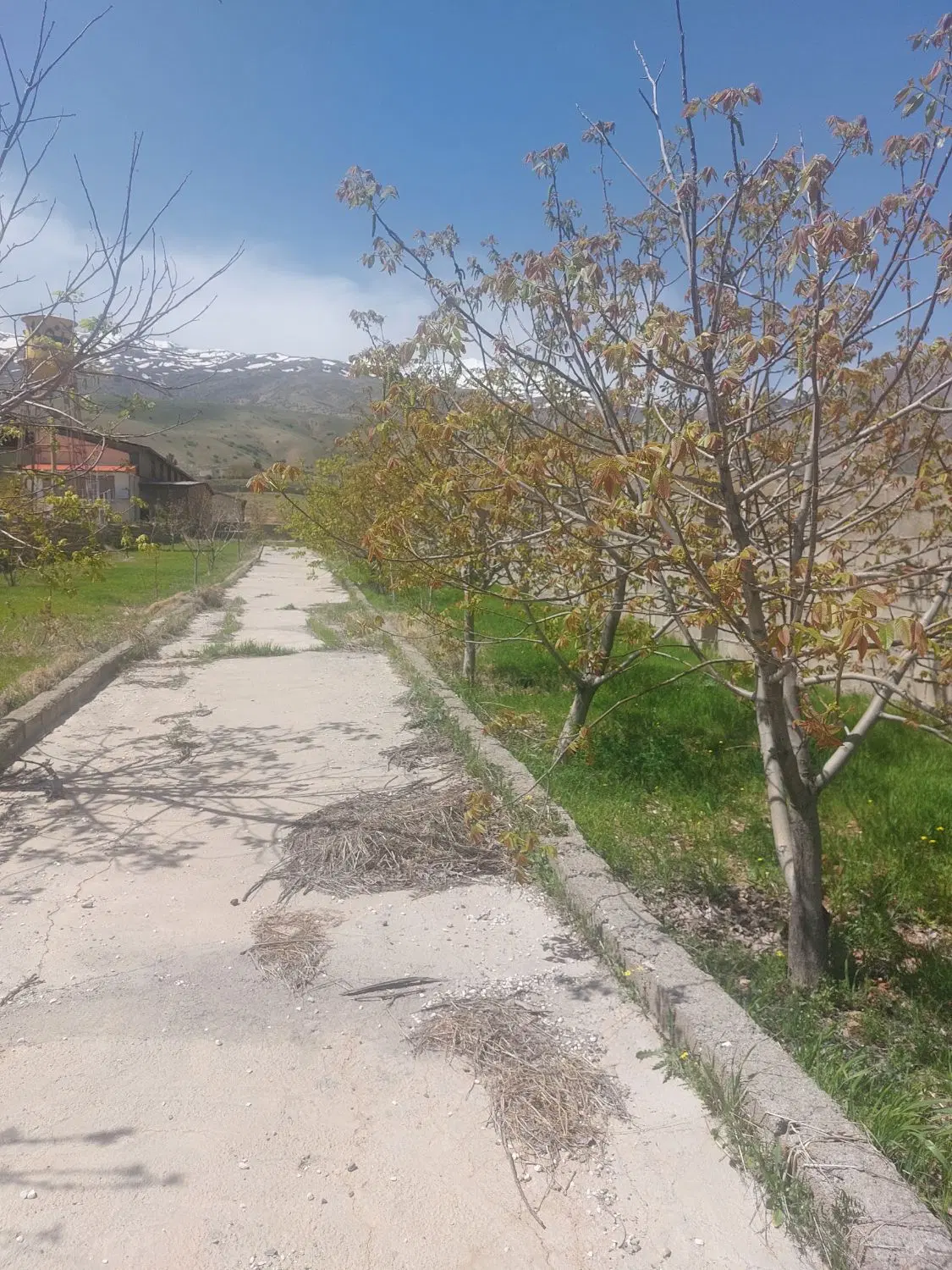 فروش  زمین  باسکول  باربری