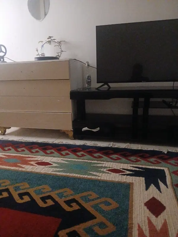 همخانه خانم
