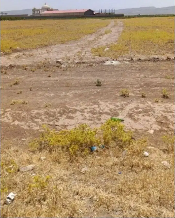 فروش زمین