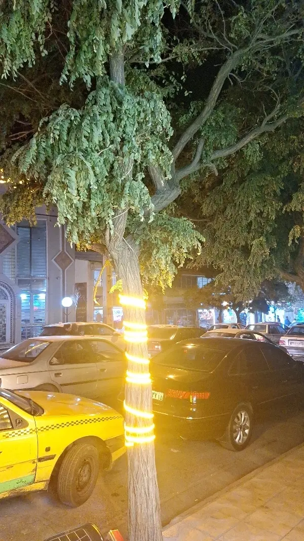 خانه گلنگی در سردرود پیوست