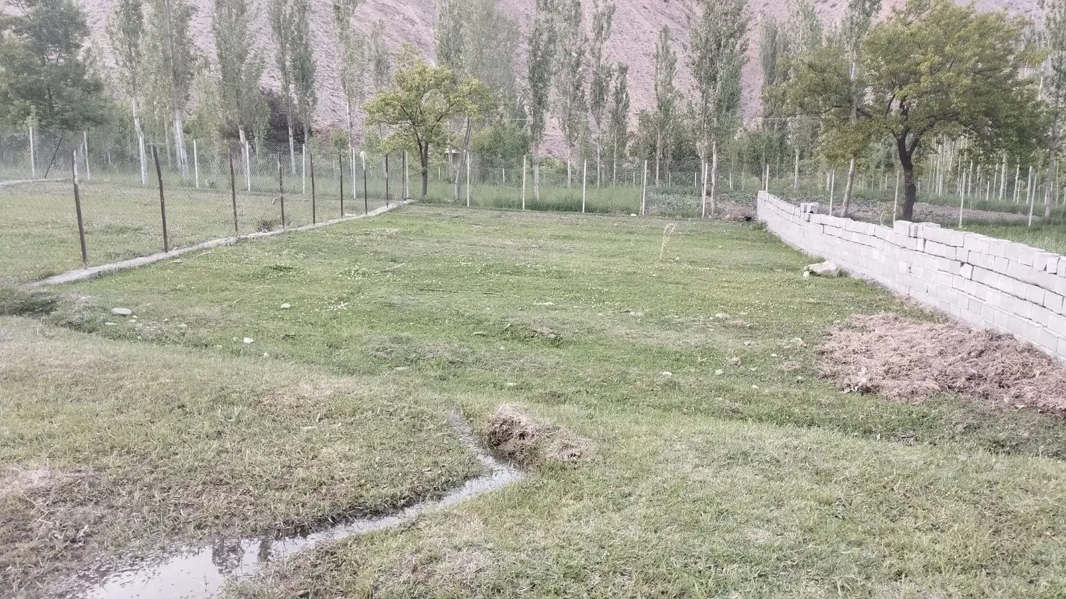 یک قطعه زمین ییلاقی