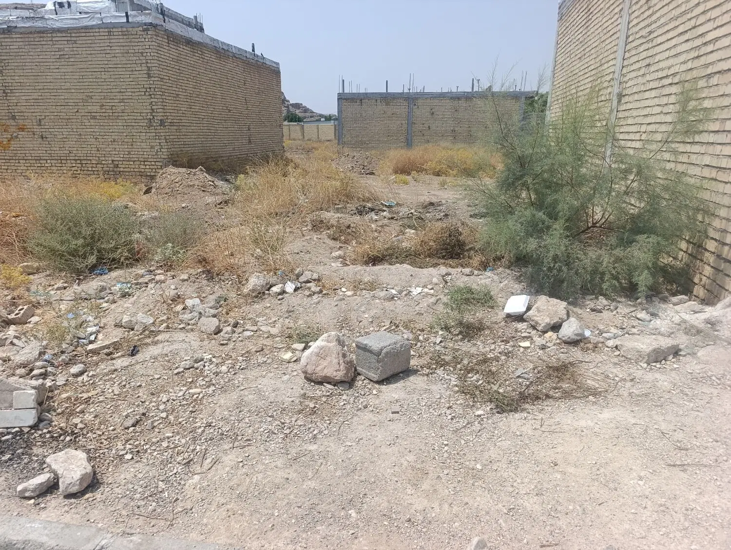 زمین مسکونی