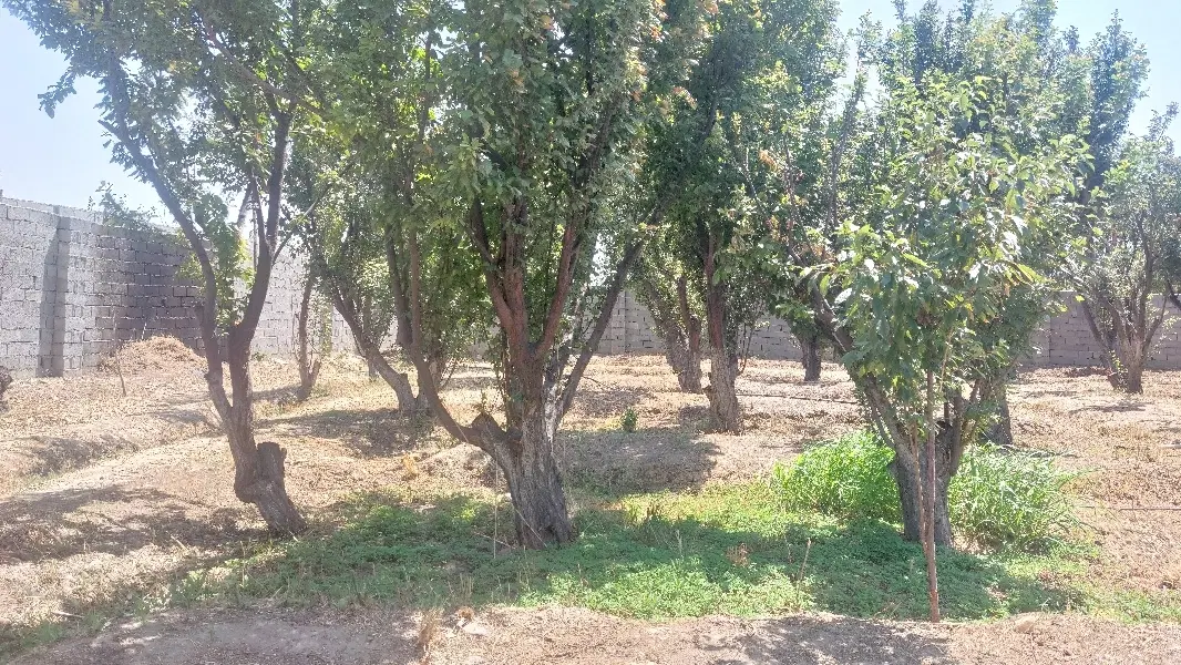 ۶۰۰_۳۲۰مترآماده ساخت*تنهاقواره ساخته نشده شهرک*مفت