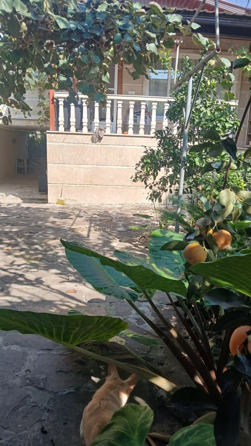 ۳۳۰ متر زمین  ۱۲۰متر بنا