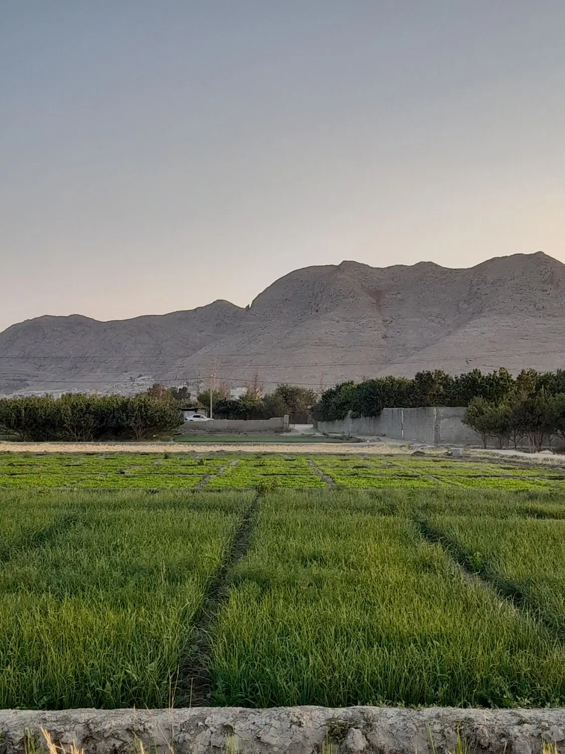 فروش زمین