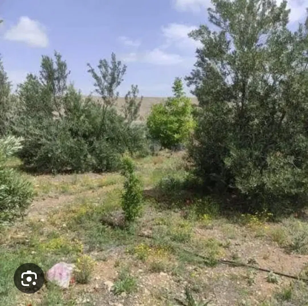 زمین باغ شهری خالد آباد