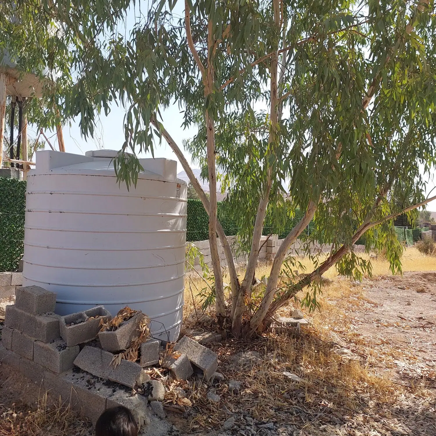 باغ شهری