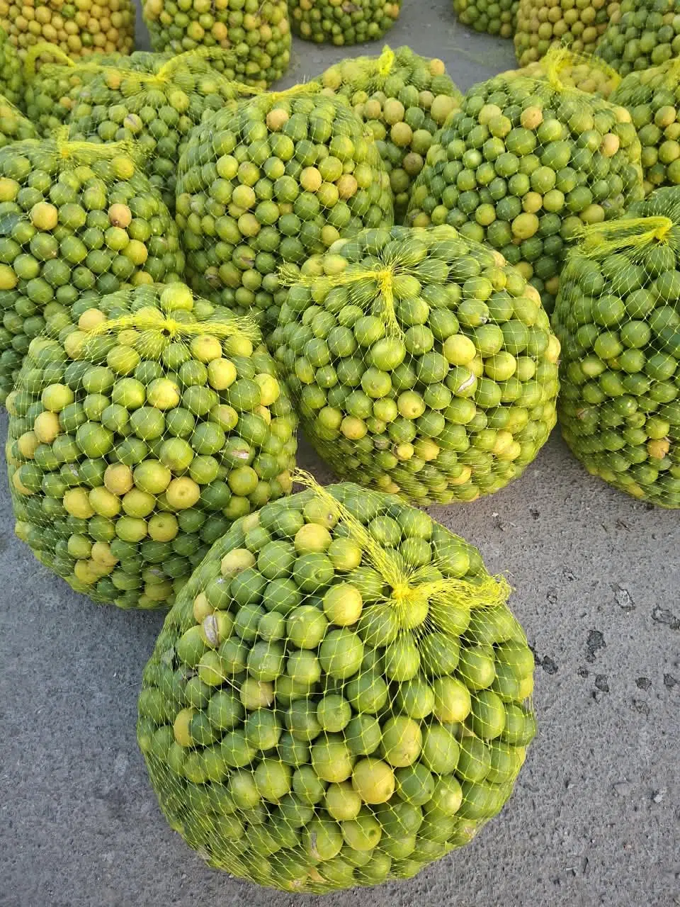 مغازه جهت میوه فروشی