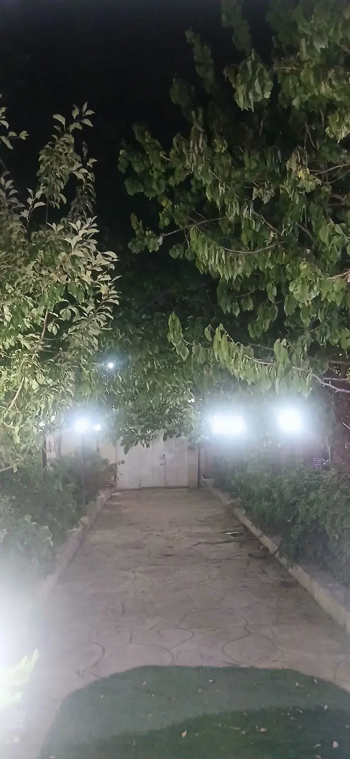ویلایی شمالی