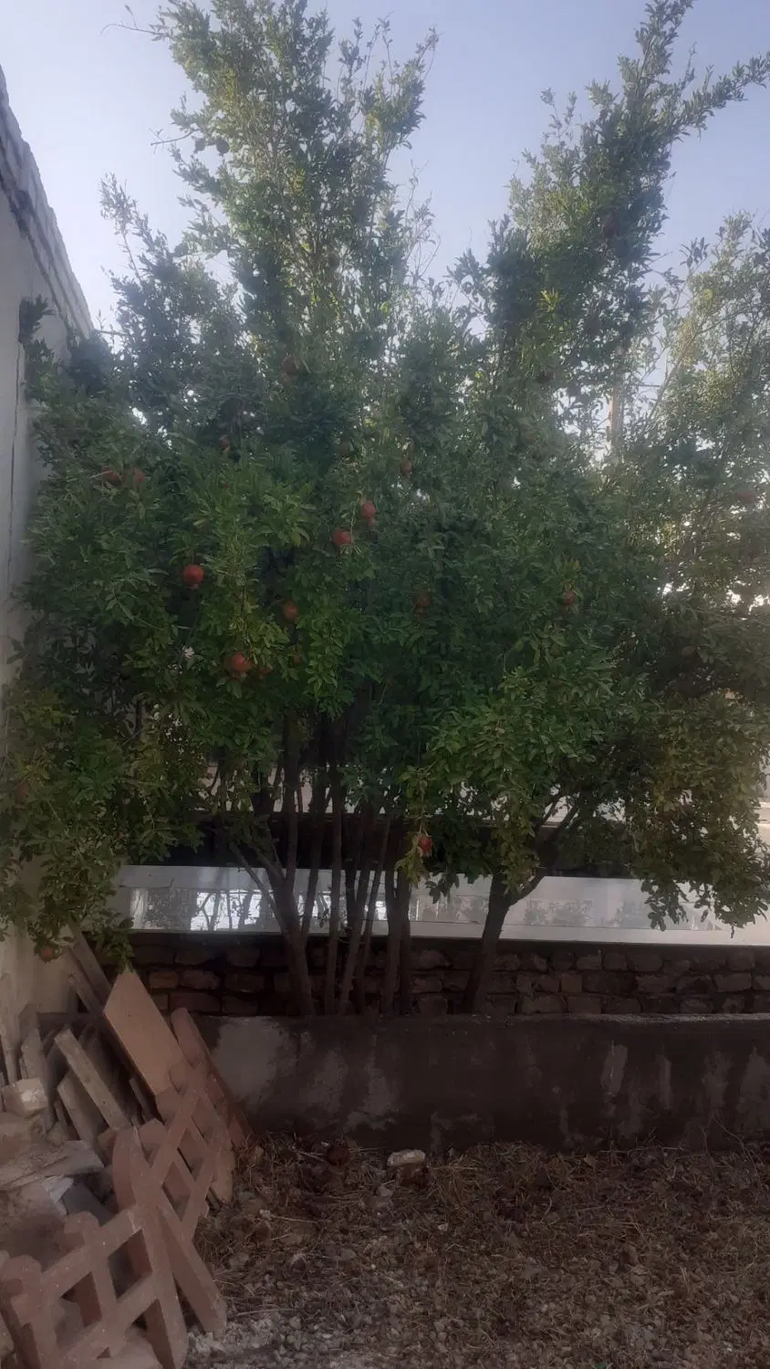 خونه در عبدل اباد