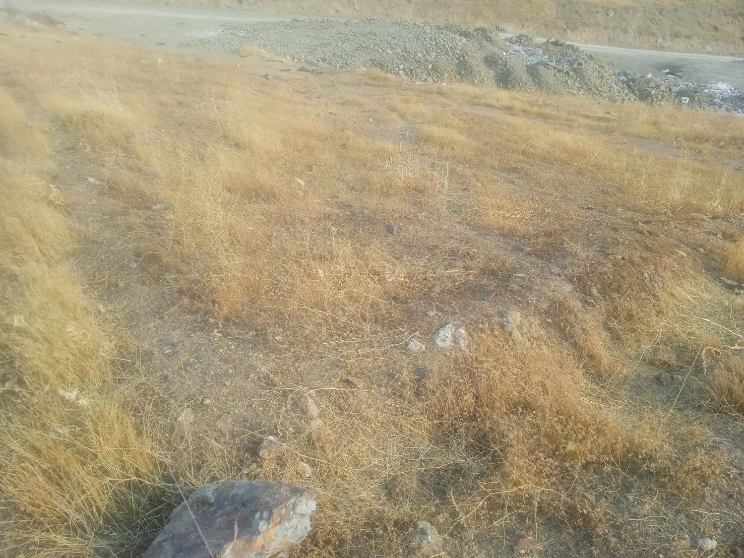 یک قطعه زمین در نایسر به فروش میرسد