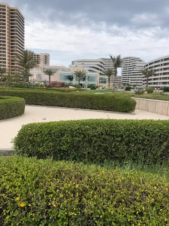 برجهای ساحلی کرانه