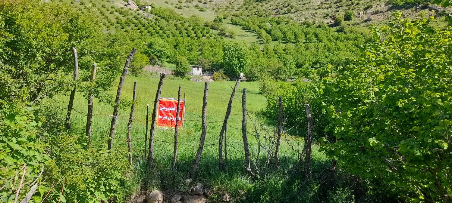 زمین کشاورزی