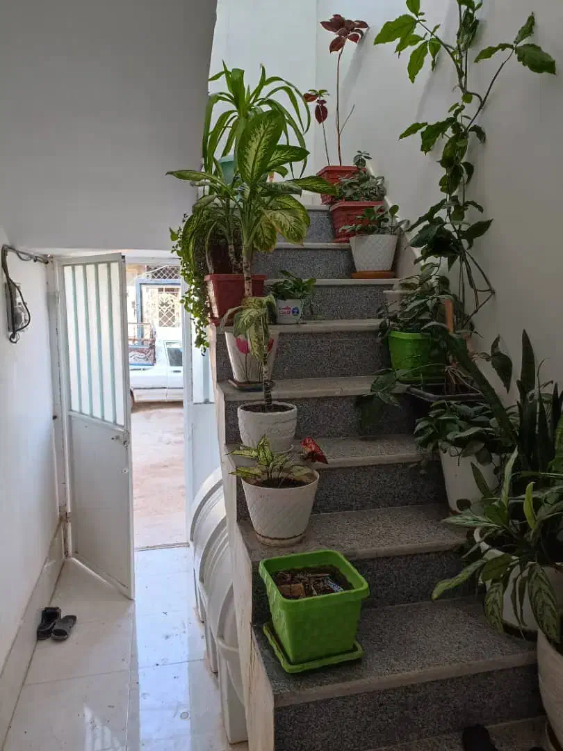 اجاره منزل ویلایی دوخواب در ابتدای کرونی.