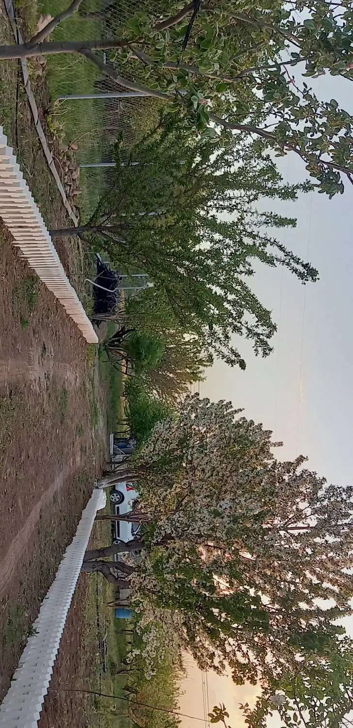 باغ ، باغشهر سینا