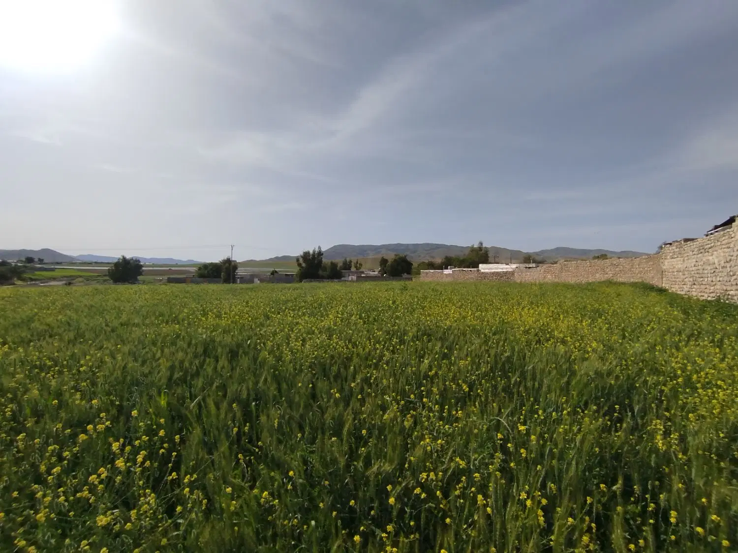 زمین فروشی