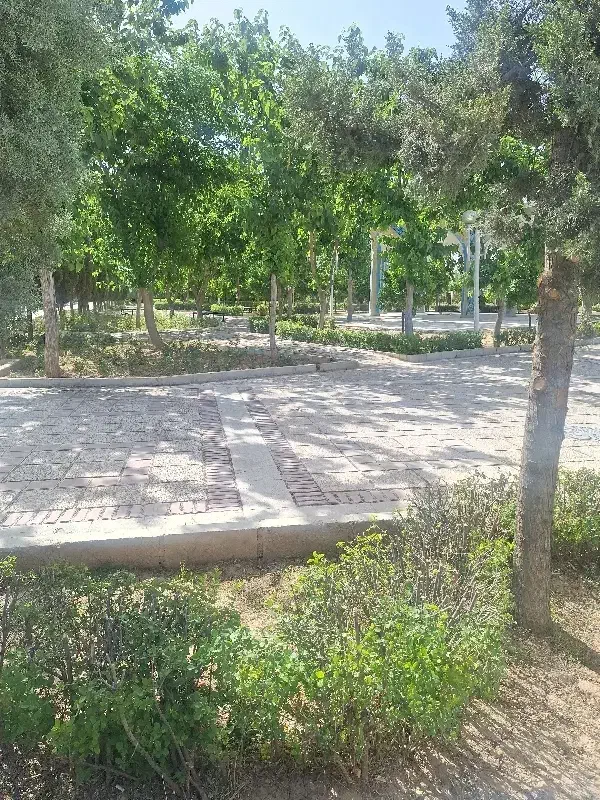 با پول یه خونه دوتا بخر محراب