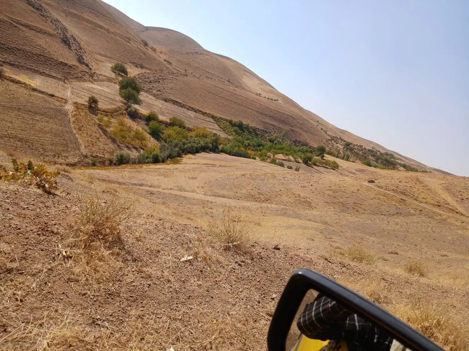 زمین کشاورزی و دامداری واقع در روستای شرشر