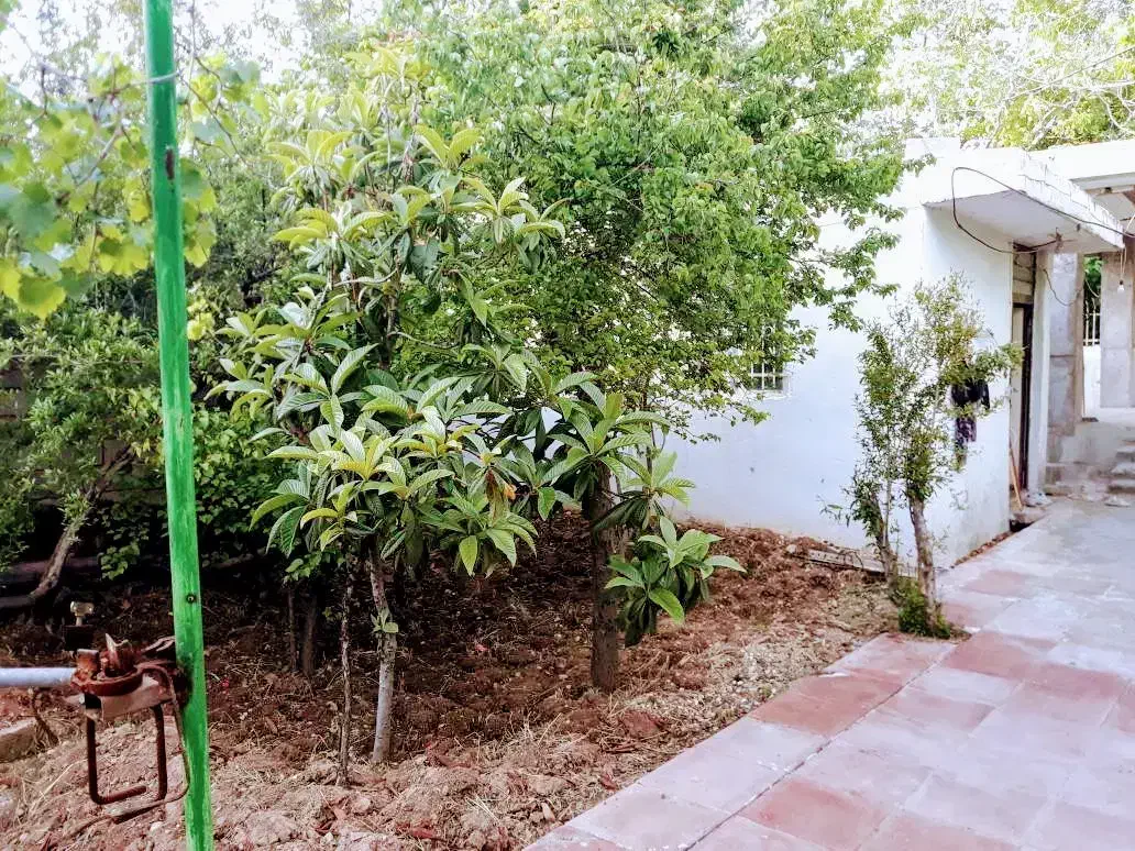 باغ ۵۰۰ متری قصردشت