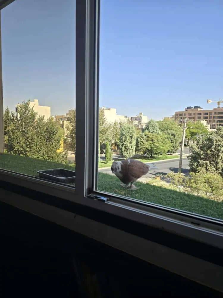 رهن و اجاره واحد اداری