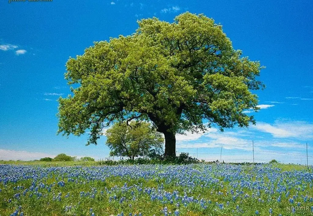 فروش زمین در محدوده قزوین