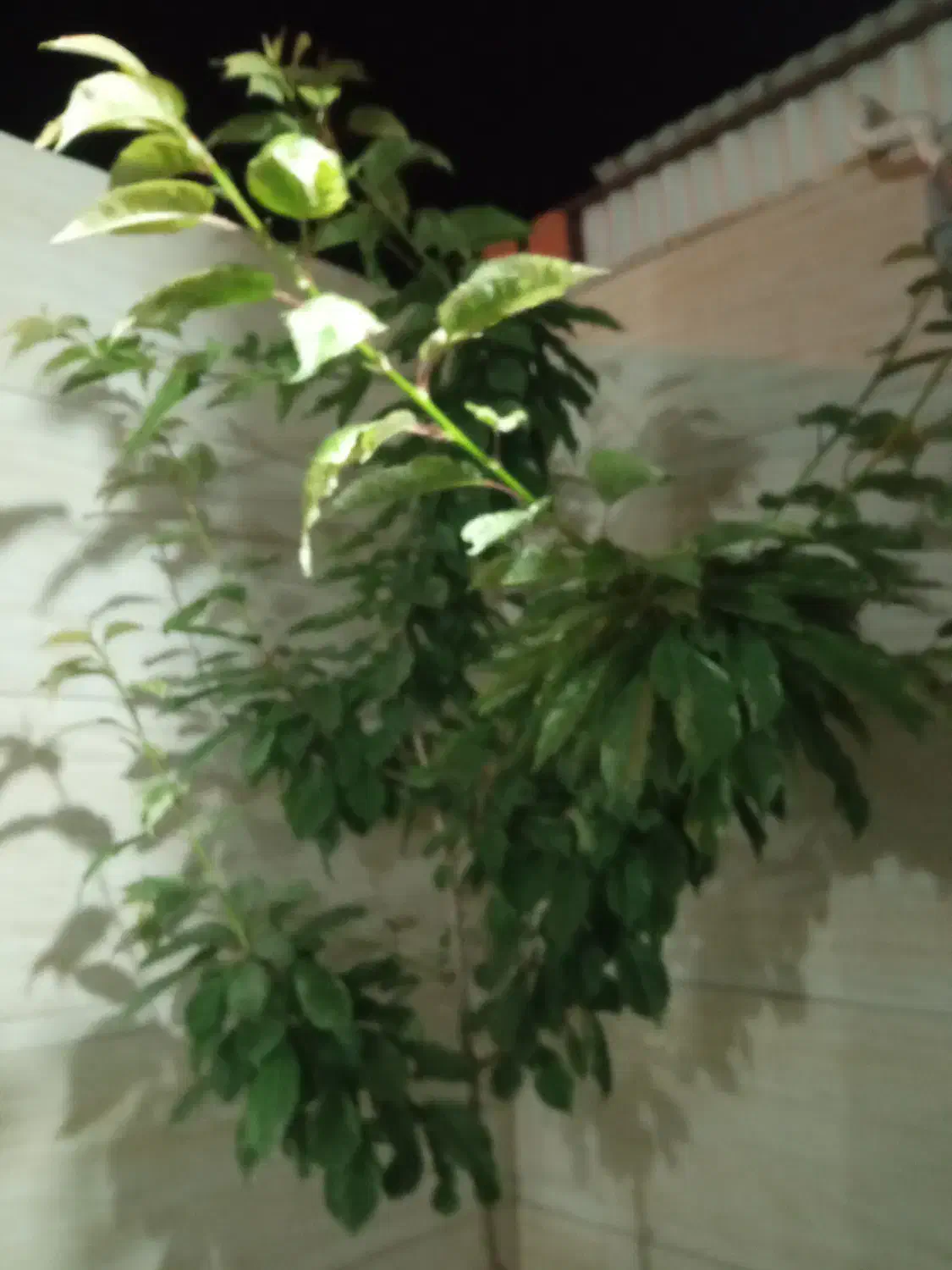 خانه ویلایی بر خیابان پیروزی