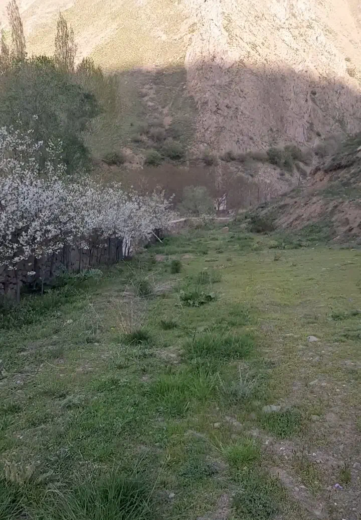زمین