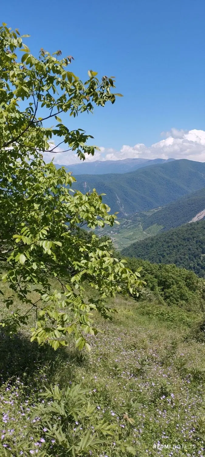 زمین در روستای  زیارت تو بافت