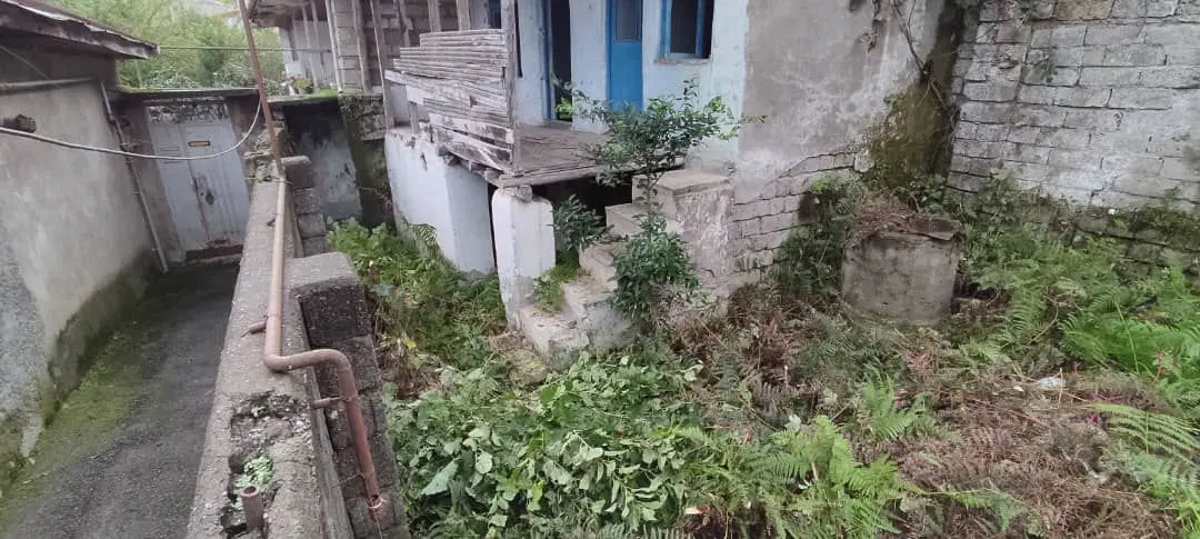 کلنگی