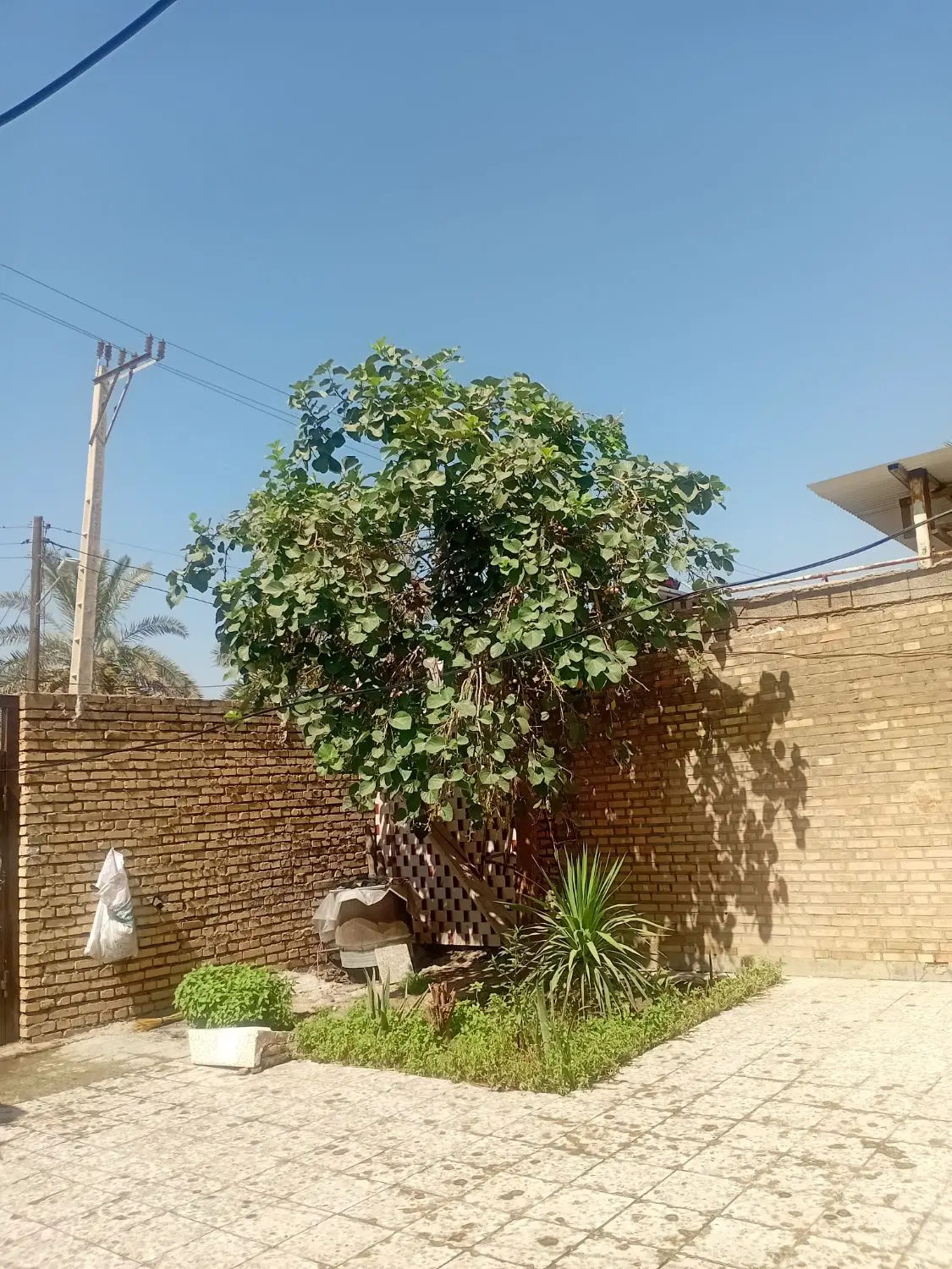 فروش  خانه ویلایی