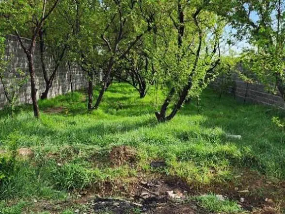 زمین ۳۵۰ متری سهیلیه یاران
