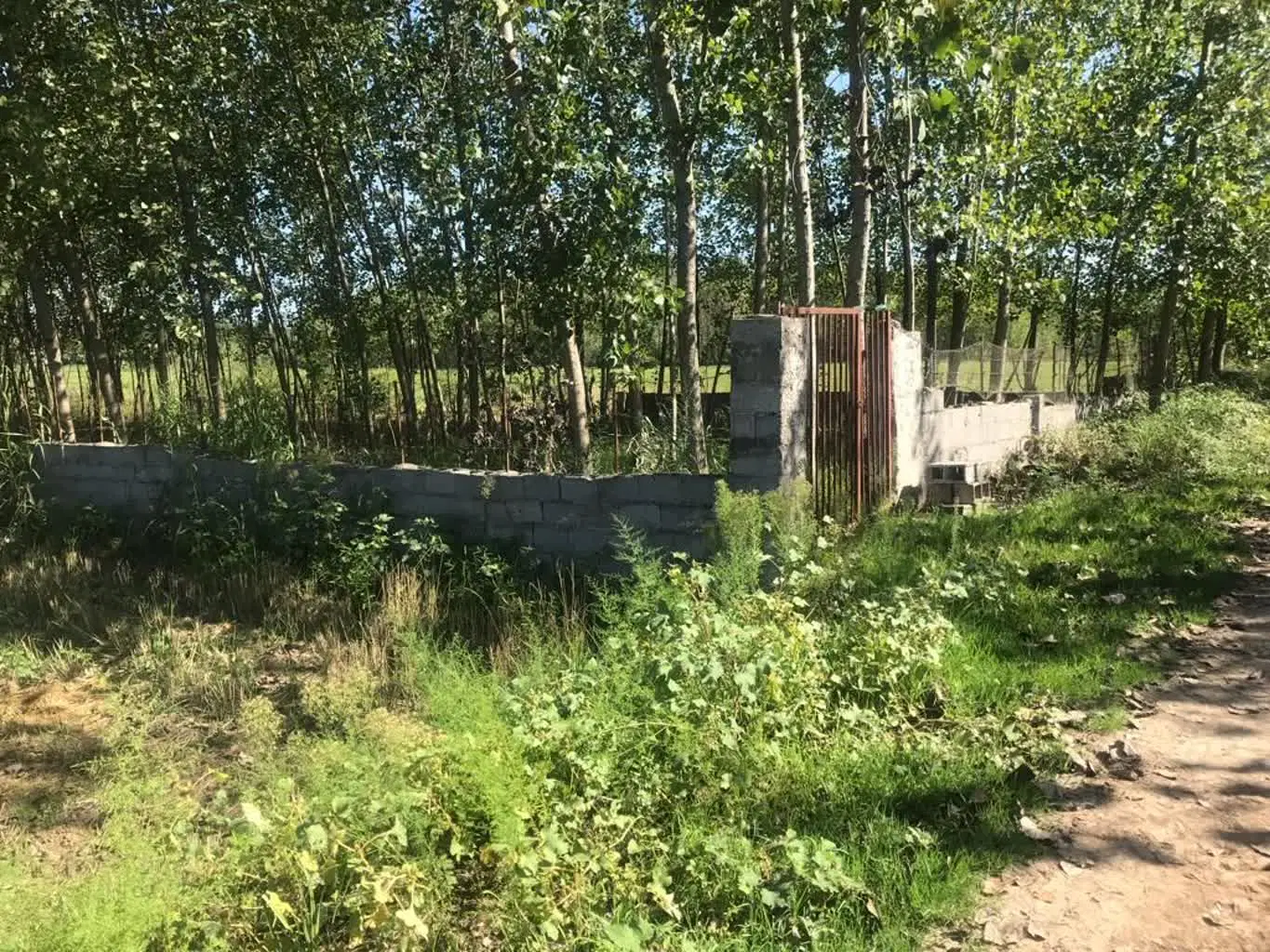 زمین ویلائی شمال رشت