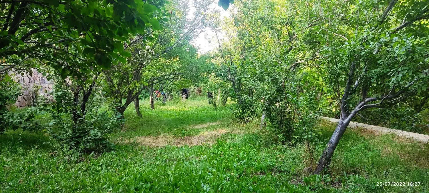 باغ میوه ، ۱۱۵۰ متر واقع در شهمیرزاد