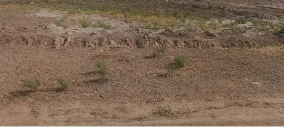 فروش زمین