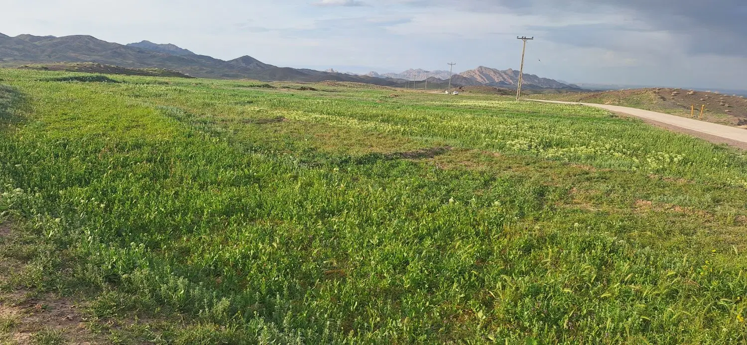 زمین در کمربندی بهلول
