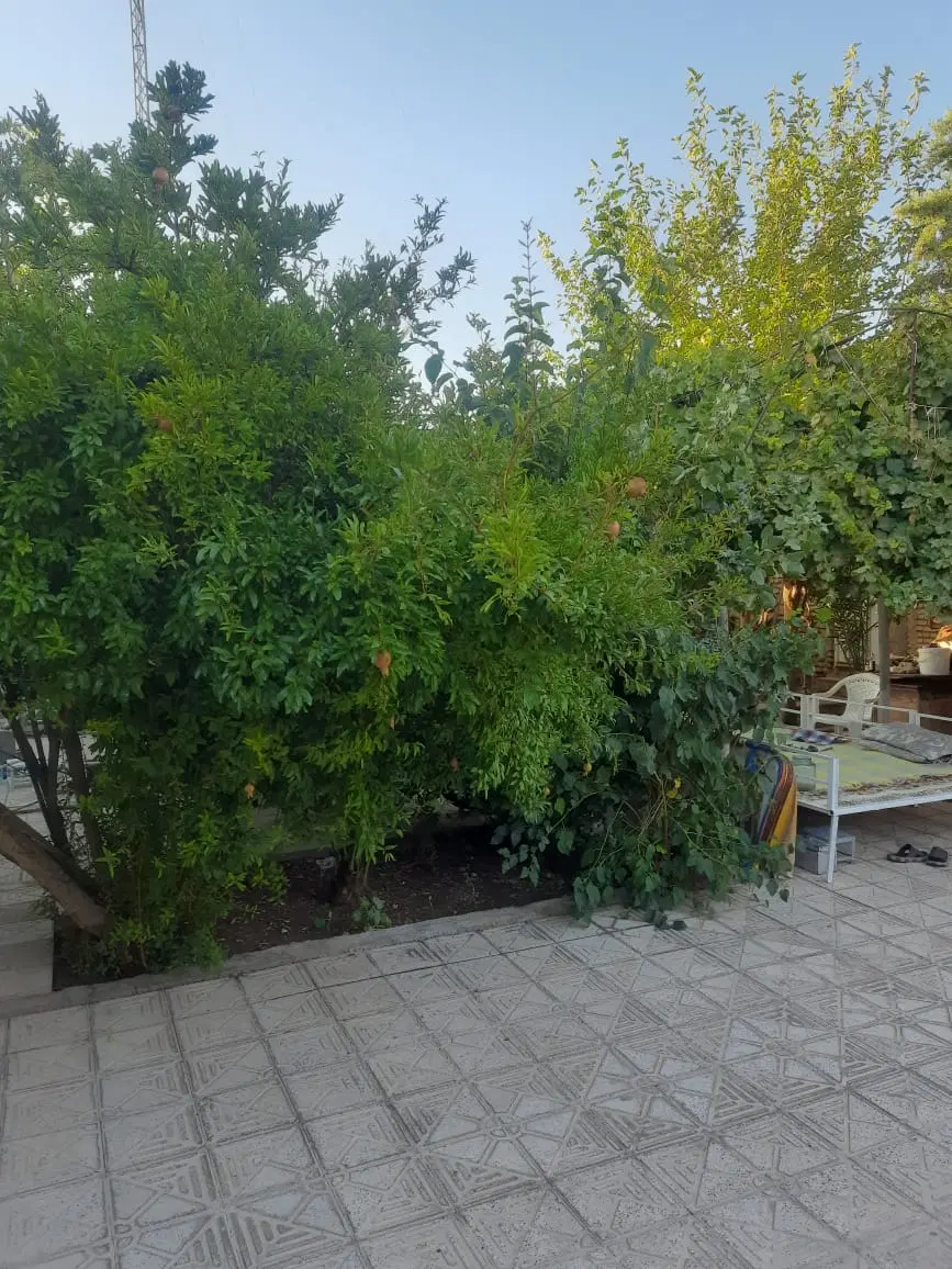 ۲۵۰ متر زمین شهرک دودمان