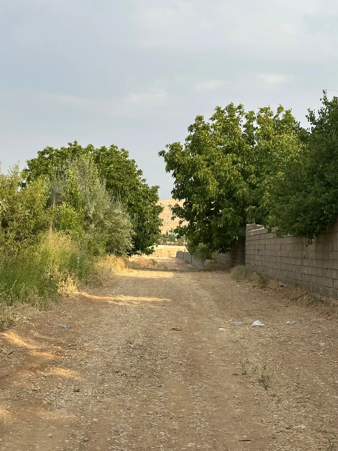 فروش چند قطعه زمین ویلایی هماشهر