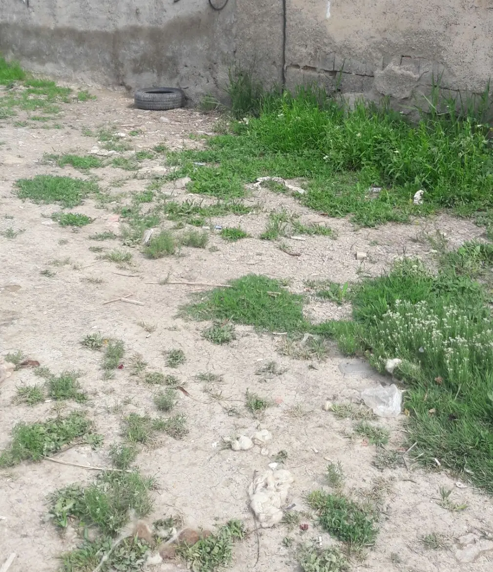 زمین فروشی کوی لاله