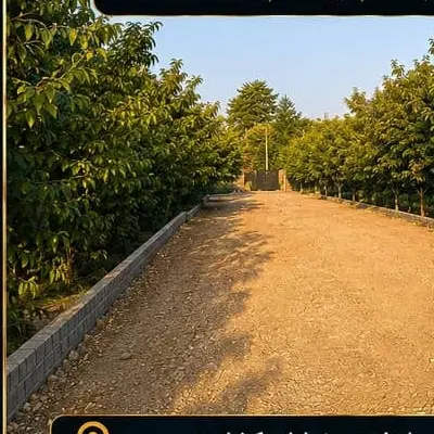 280متر باغچه درلم اباد