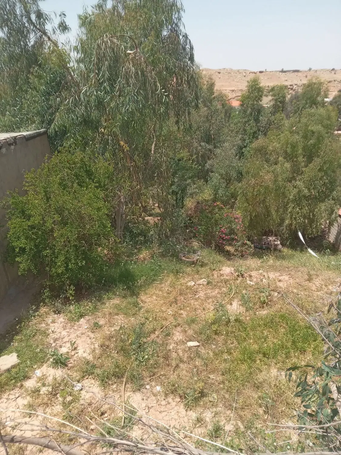 زمین مناسب باغ ویلا