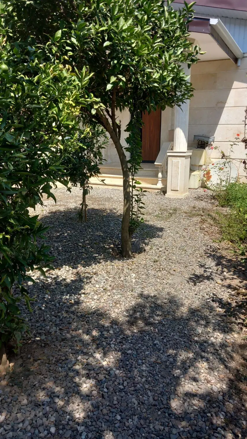 ویلا جنگلی با موقعیت مکانی عالی