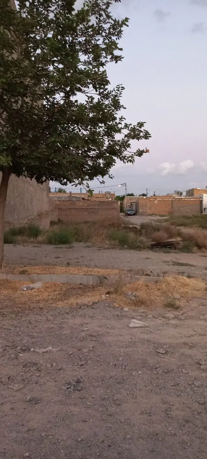 زمین