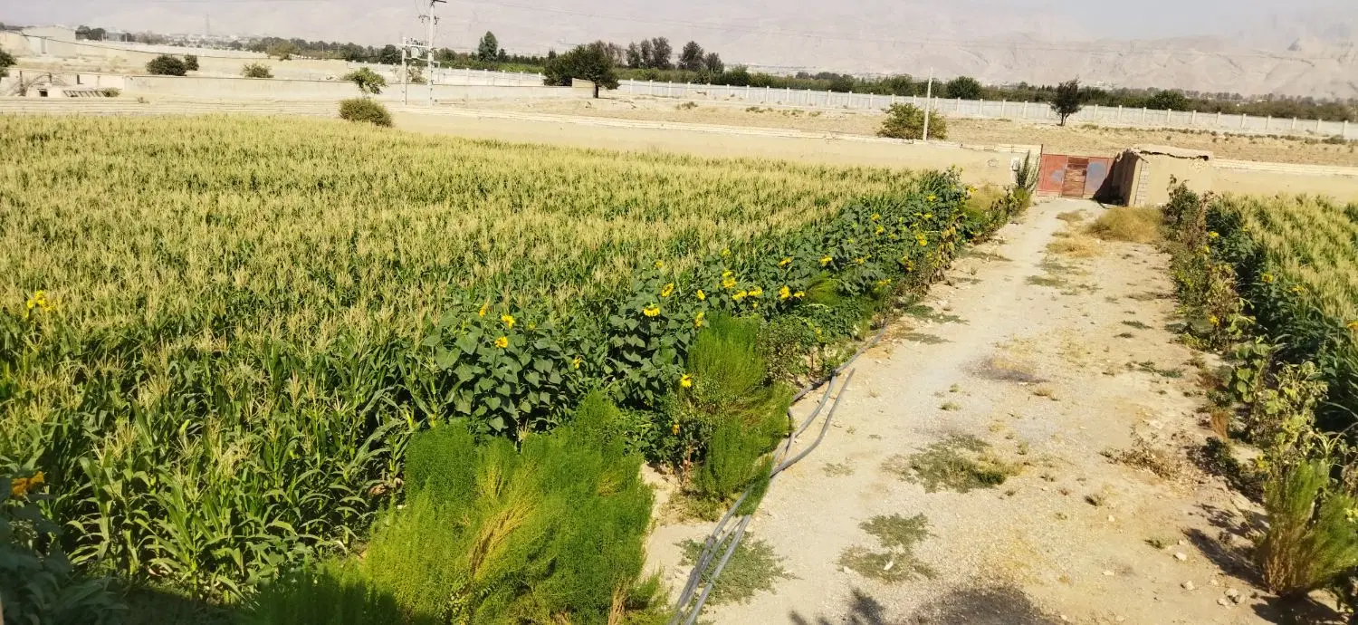 باغ 9000متری با برق واب شهر شخصی وسند شش دونگ